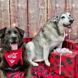 Meet your Posher, Mike